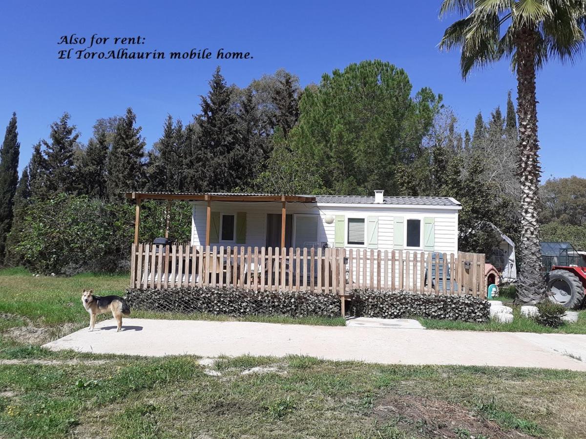 Appartement El Toro Alhaurin Alhaurín el Grande Eksteriør bilde